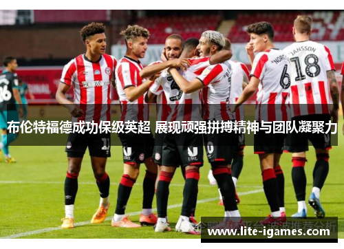 布伦特福德成功保级英超 展现顽强拼搏精神与团队凝聚力